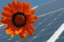Bild: BarnimBau Bernau mit umfangreichen Angebotsspektrum - Messejubiläum mit Schwerpunkten Haus, Energie und Umwelt