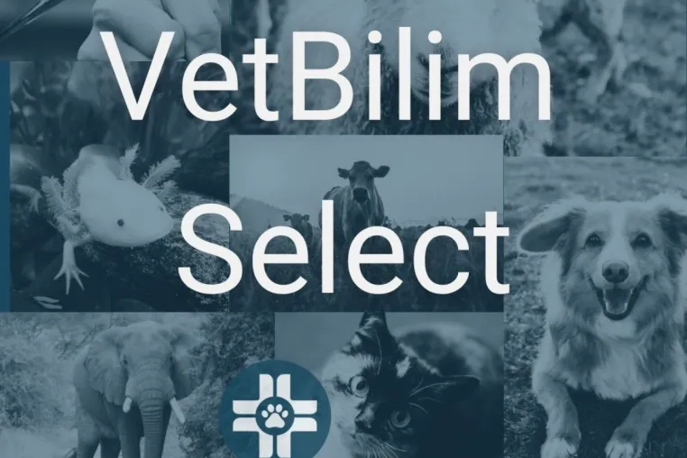 Bild: VetBilim Select: KI-Technologie für Tiergesundheit jetzt auf Deutsch verfügbar