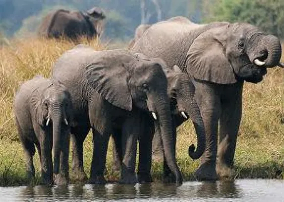 Bild: Emporium Travel und Südafrika-Deluxe nun Spezialveranstalter für die Republik Malawi