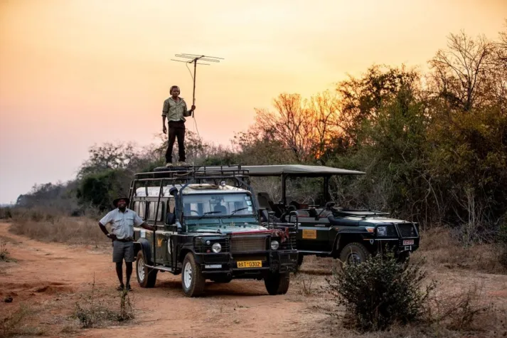 Bild: Great Plains Foundation startet Initiative "Rewild Zambezi" in Simbabwe