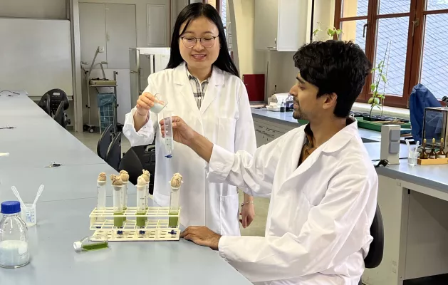 Interdisziplinäre Forschung enthüllt erstaunliche Anpassungsmechanismen von mikroskopisch kleinen Algen Bild: Interdisziplinäre Forschung enthüllt erstaunliche Anpassungsmechanismen von mikroskopisch kleinen Algen