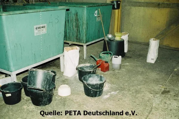 Bild: Heidemark QS-zertifiziert – Aktuelles Undercover-Material aus Heidemark-Mastbetrieb angekündigt