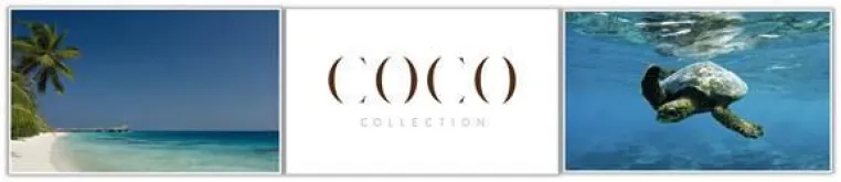 Coco Collection verstärkt Unternehmensführung Bild: Coco Collection verstärkt Unternehmensführung