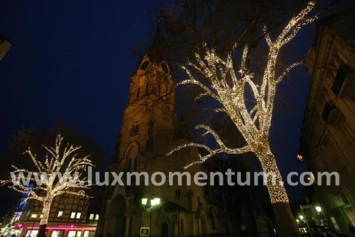 Bild: Beleuchtete Bäume - mitwachsende Lichterketten schützen