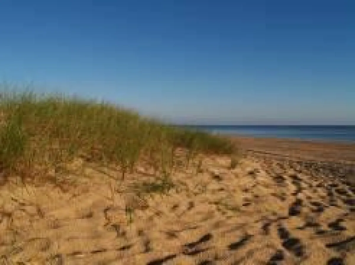 Ferienwohnungen auf Usedom
