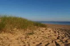 Bild: Usedom – Ferienwohnungen auf der beliebten Ostsee-Insel