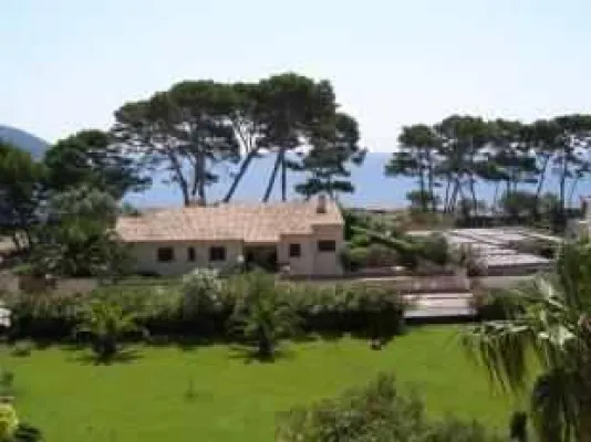 Bild: Pure Immobilien informiert – nützliche Tipps zum Kauf einer Immobilie auf Mallorca