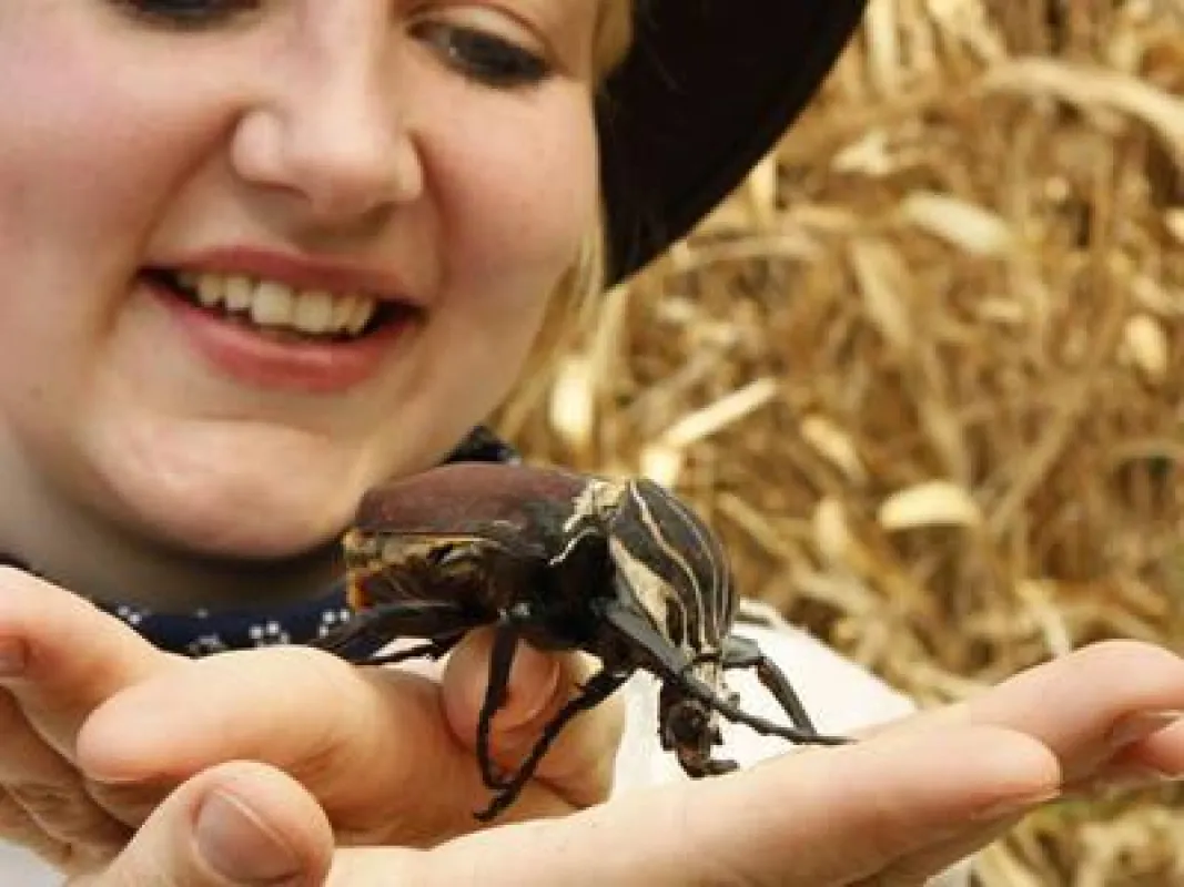 Tierpflegerin präsentiert den tierischen Inhalt des Kribbel-Car