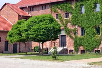 SlowBaking statt Schnaps Bild: SlowBaking statt Schnaps