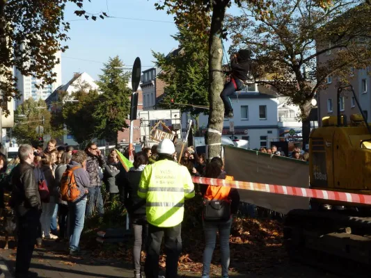 Bild: Baumfällungen auf der Bonner Straße: Zu den Stellung­nahmen von Parteien, Politikern und der Stadt Köln