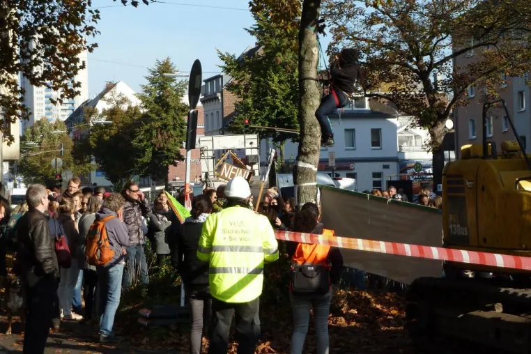 Bild: Baumfällungen auf der Bonner Straße: Zu den Stellung­nahmen von Parteien, Politikern und der Stadt Köln