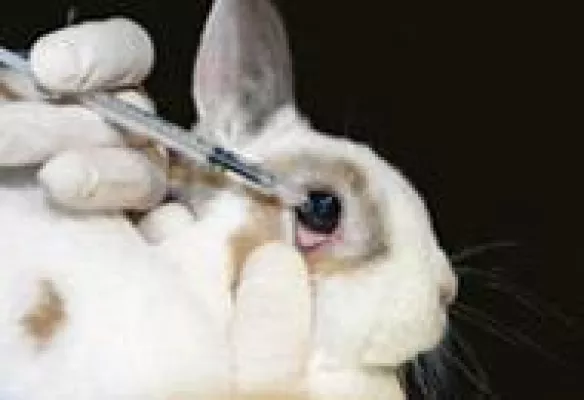 Bild: EU stoppt Verkauf von tierquälerischer Kosmetik - Tiere sterben trotzdem für die Schönheit