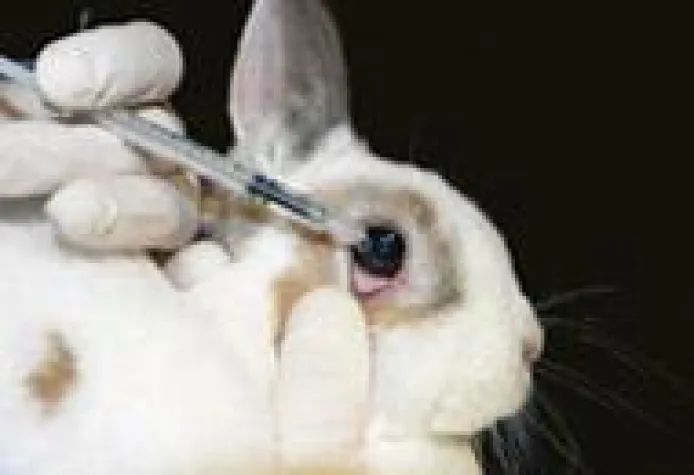 Bild: EU stoppt Verkauf von tierquälerischer Kosmetik - Tiere sterben trotzdem für die Schönheit