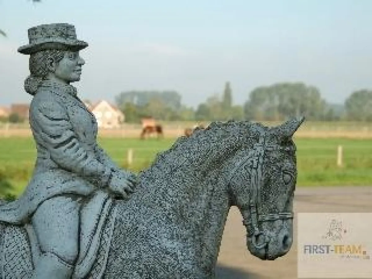 Pferdestall FIRST-TEAM Pferdesport