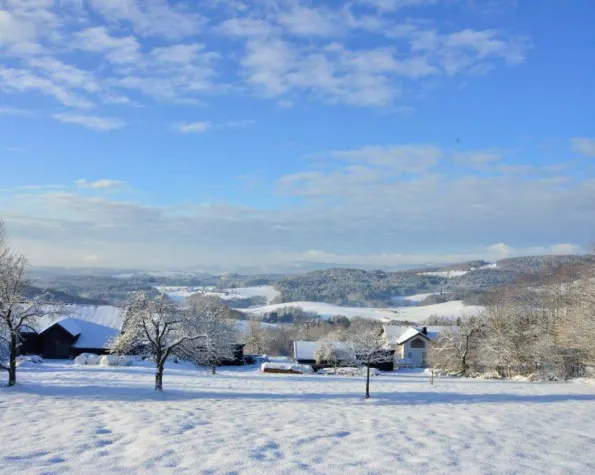 Bild: Positive Schneeberichte für Wintersport in Ostbayern, Bayerischer Wald