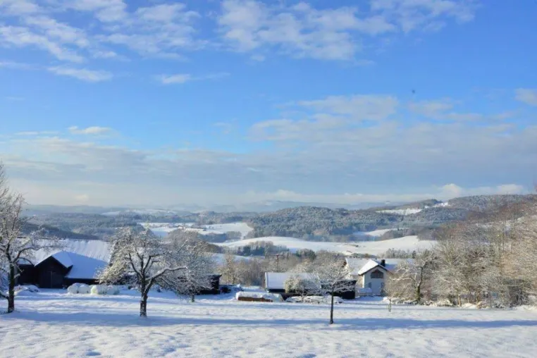 Bild: Positive Schneeberichte für Wintersport in Ostbayern, Bayerischer Wald