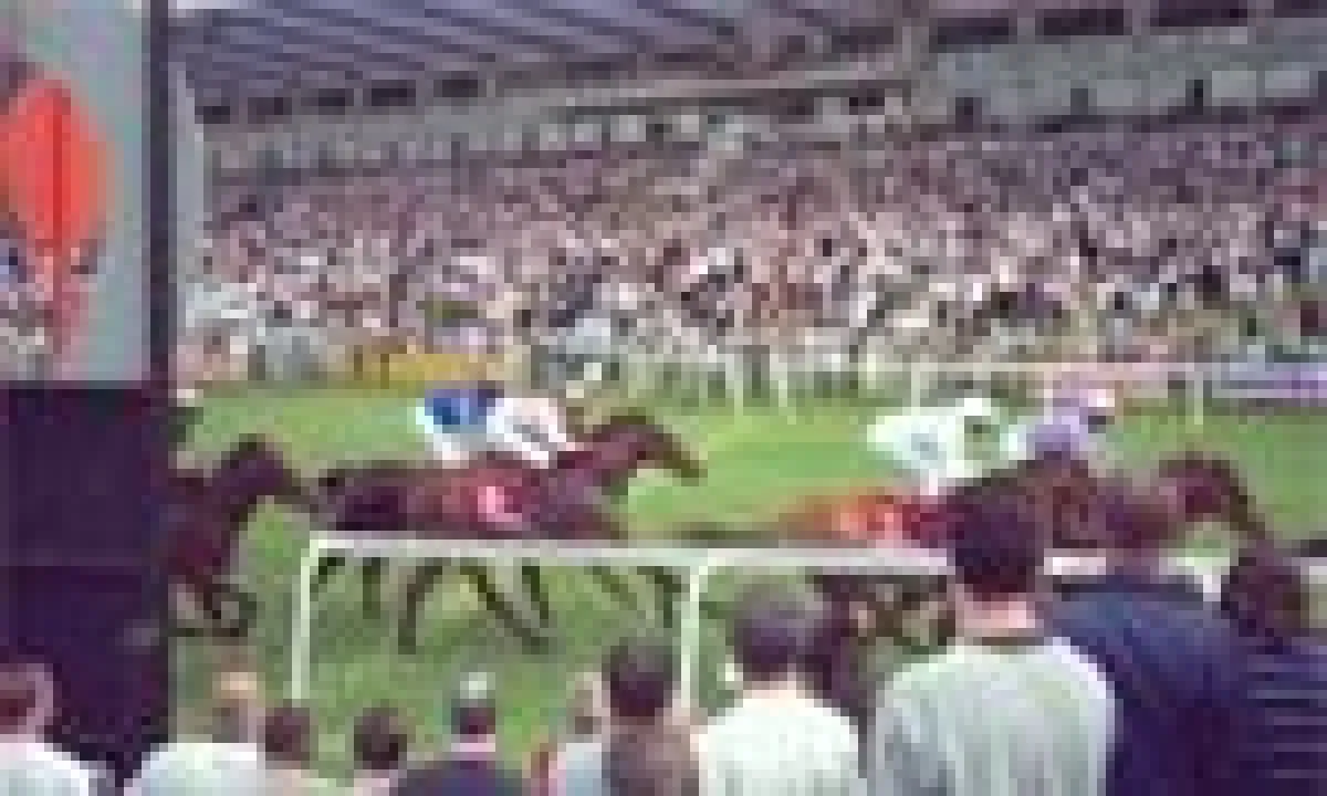 Mehr als 1,2 Millionen US Dollar im Jackpot auf www.magnabet.com!