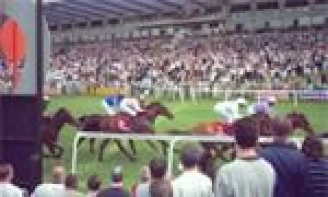 Bild: Mega-Jackpot in Santa Anita Park