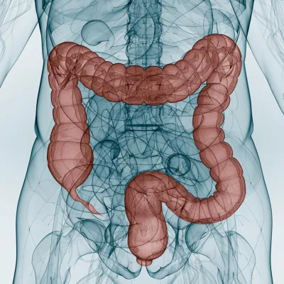 Bild: Gesunder Darm, gesundes Leben - Am 21.03. ist Darmkrebs-Präventionstag in den Düsseldorfer Schadow Arkaden