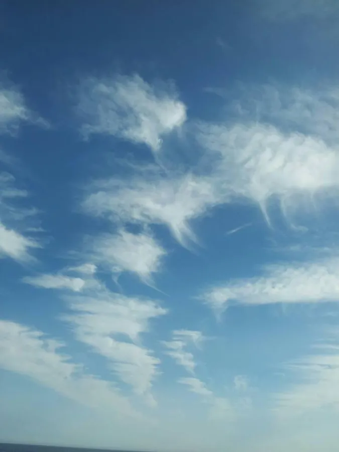 Energetisches Feng Shui