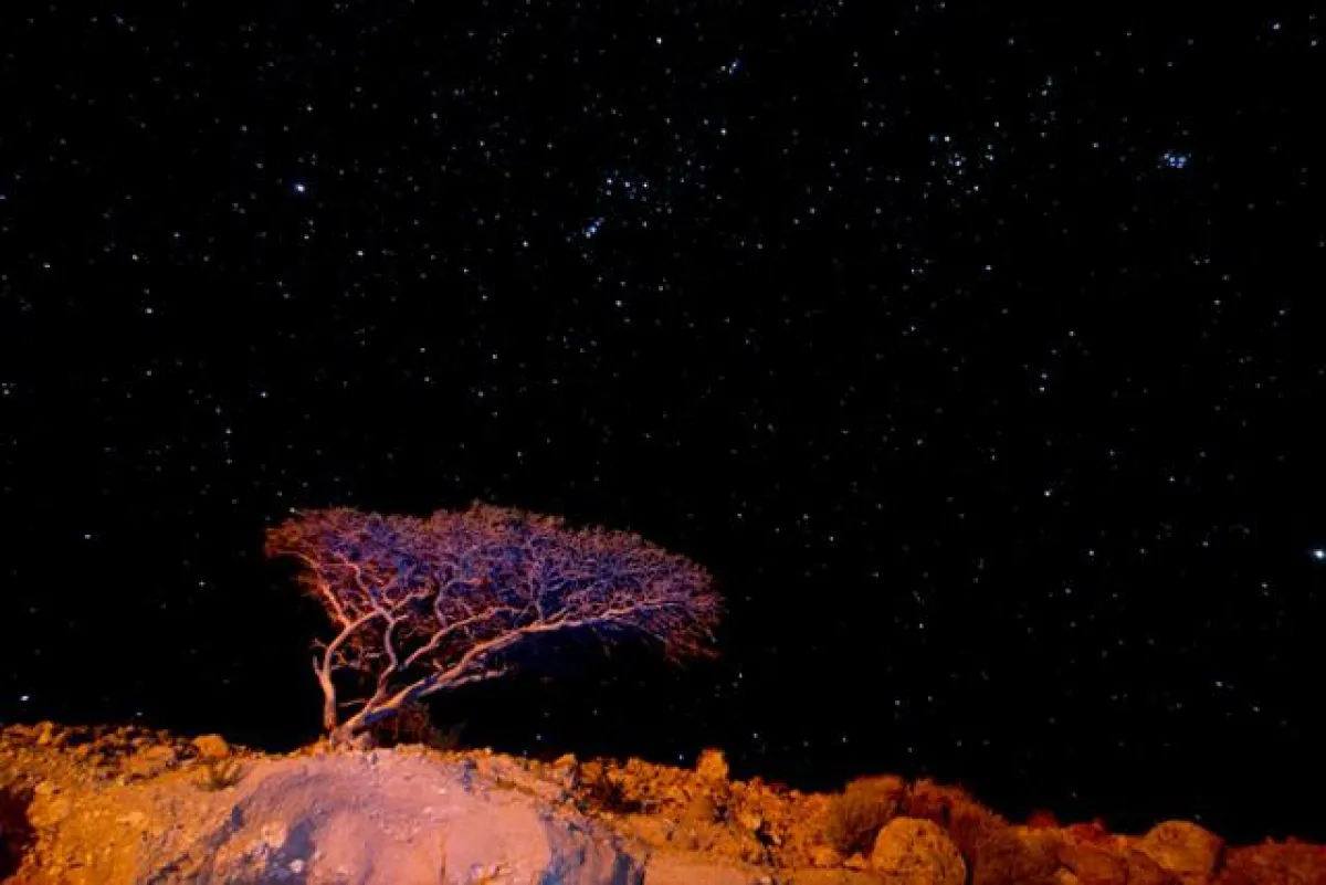 Oman: Sternenhimmel über der Rub al-Khali (Foto: B. Blüchel)
