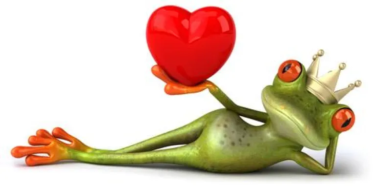 Bild: Singlemythos: Singles sind zu anspruchsvoll