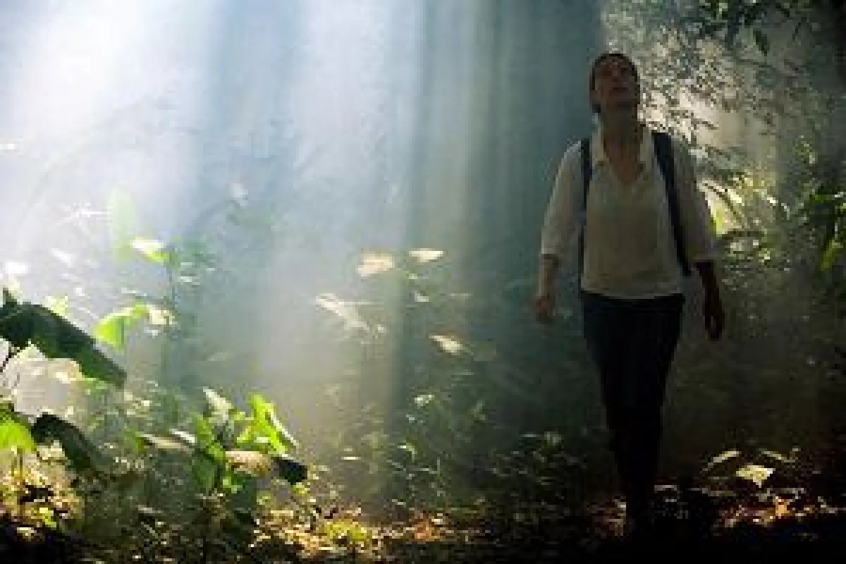 Neujahr im Amazonas-Gebiet