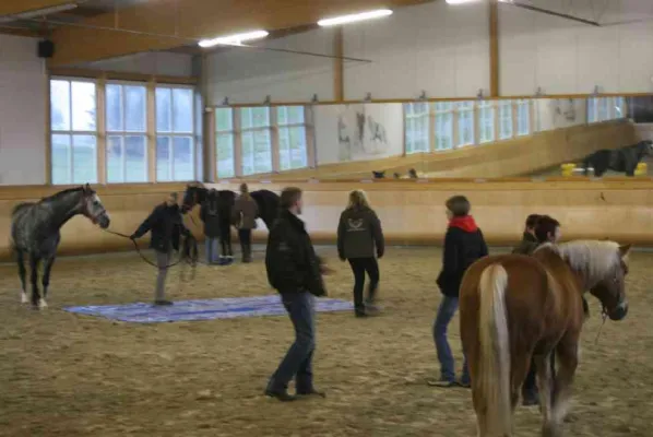 Die Sprache der Pferde im Barockreitzentrum Heimsheim Bild: Die Sprache der Pferde im Barockreitzentrum Heimsheim