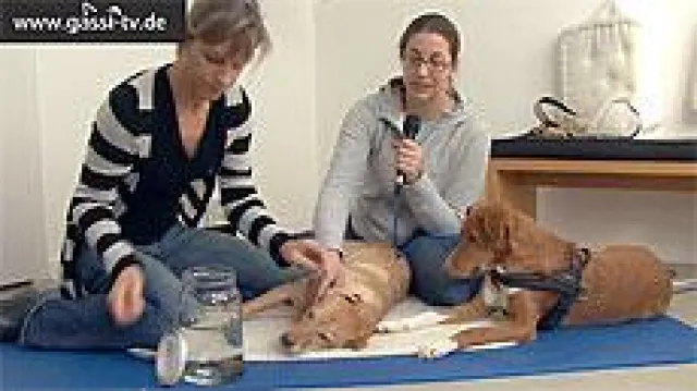 Bild: Blutegeltherapie für Hunde