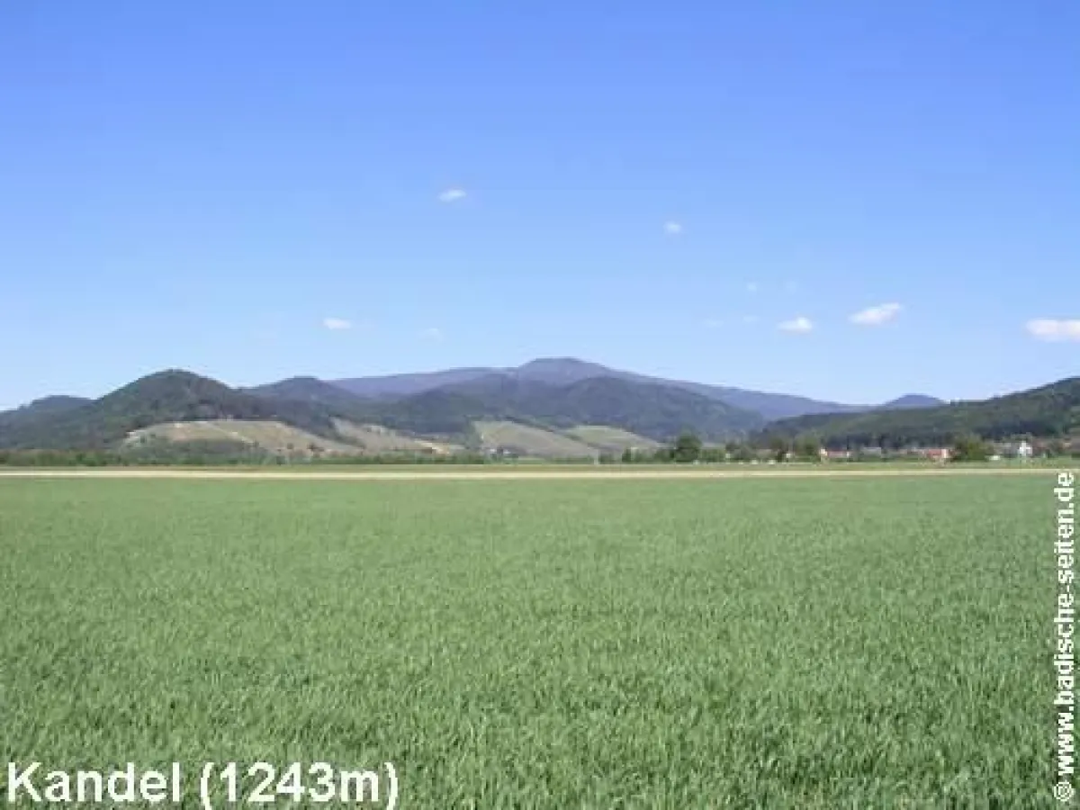 Blick auf den Kandel von der Oberrheinebene aus.