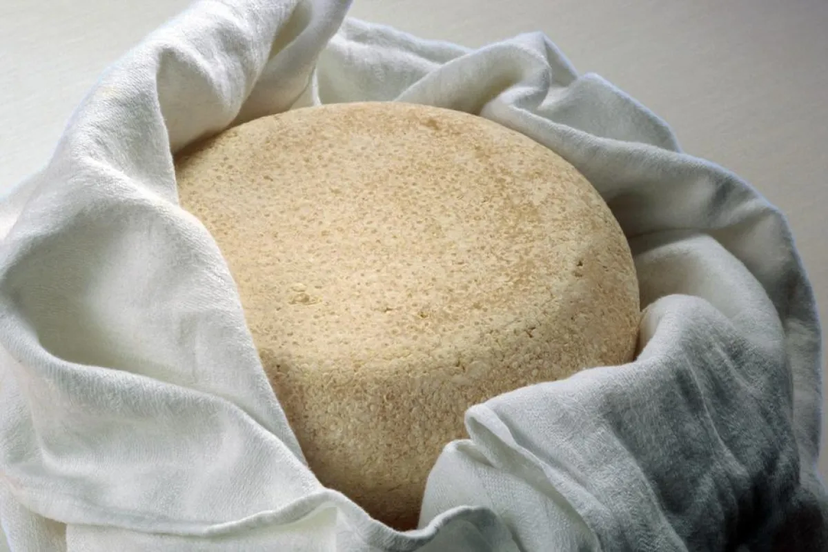 Was Sie schon immer über Käse wissen wollten