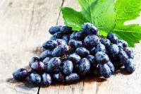 OPC-Traubenkernextrakt: Jung bleiben und alt werden mit dem stärksten Antioxidans der Welt Bild: OPC-Traubenkernextrakt: Jung bleiben und alt werden mit dem stärksten Antioxidans der Welt