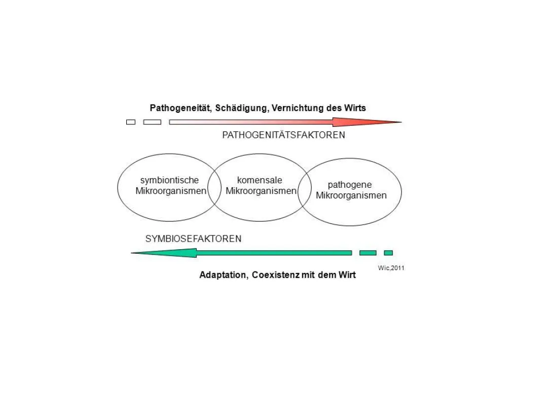 Mikrobiologie (l.w.)