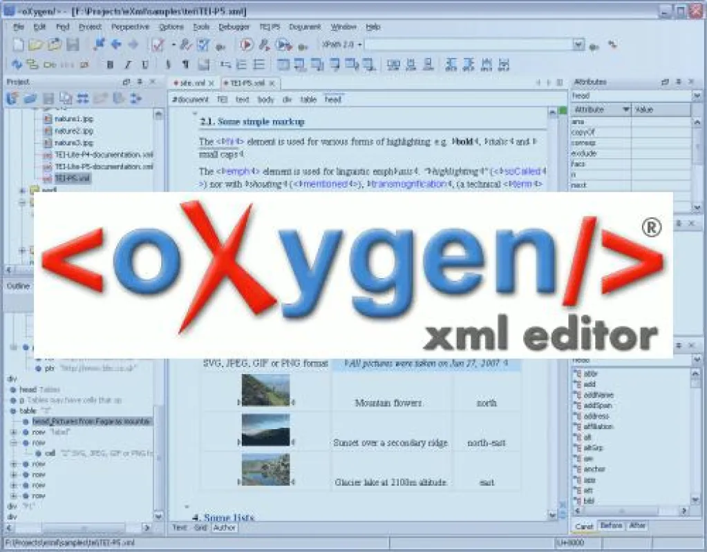 oXygen XML Editor der SyncRO Soft Ltd. neu im Vertriebsprogramm des VorKon-Shop