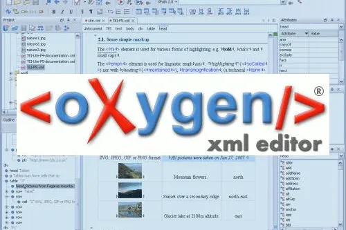 Bild: oXygen XML Editor der SyncRO Soft Ltd. neu im Vertriebsprogramm des VorKon-Shop