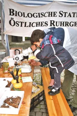 Bild: Umweltfest - Natur und Umwelt mit Kindern