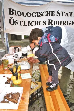 Bild: Umweltfest - Natur und Umwelt mit Kindern