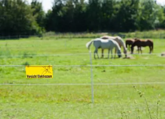 Bild: Green Security: Immer wieder verheerende Unfälle durch defekte Weidezäune