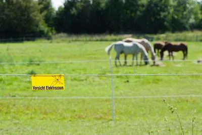 Bild: Green Security: Immer wieder verheerende Unfälle durch defekte Weidezäune