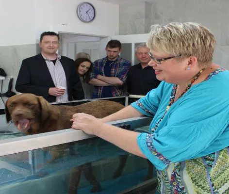 Bild: Tierarztpraxis für Physiotherapie und Osteopathie in Beselich, Mittelhessen