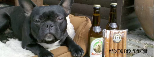 Bild: Madox. Der Frenchie. Eine Bulldogge bloggt - Lesenswertes für Hundefreunde