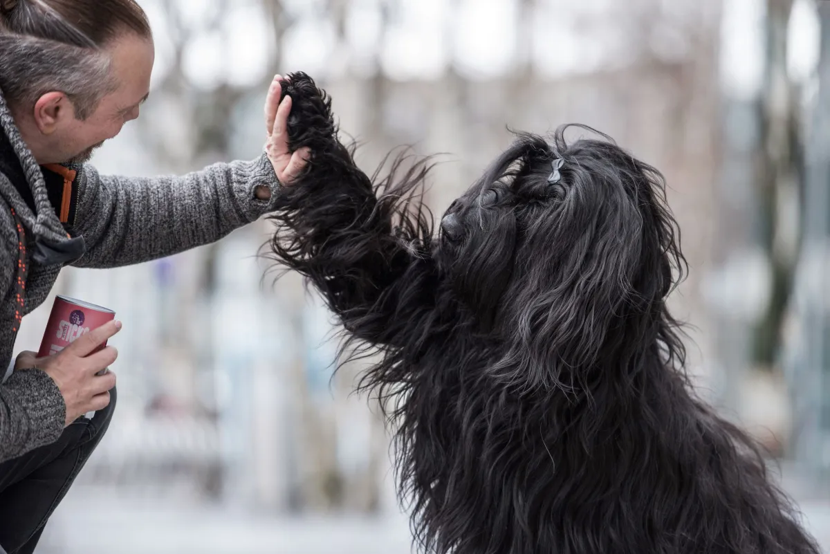 Clean Feeding - für eine vollwertige und nachhaltige Hundeernährung