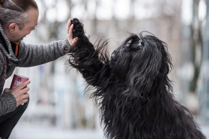 Clean Feeding - Warum Insekten als alternative Proteinquelle salonfähig werden sollten Bild: Clean Feeding - Warum Insekten als alternative Proteinquelle salonfähig werden sollten