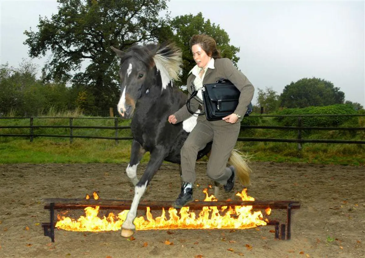 Gemeinsam Hindernisse überwinden