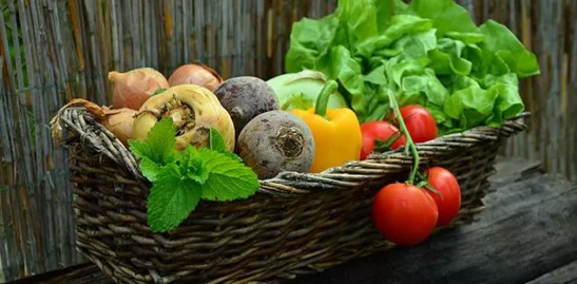Bild: Ernährung, Mikro-Nährstoffe und das Immunsystem
