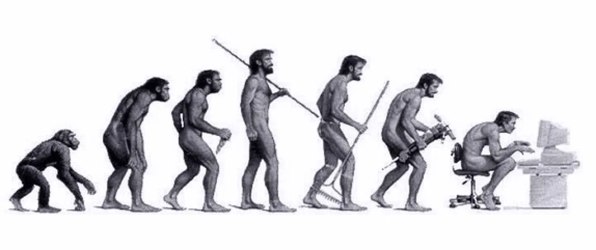 Evolution des Mannes