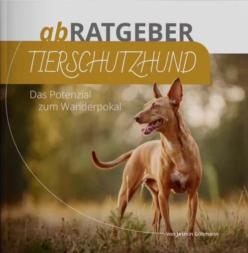 abRATGEBER Tierschutzhund: Neue Ratgeber-Broschüre erschienen Bild: abRATGEBER Tierschutzhund: Neue Ratgeber-Broschüre erschienen