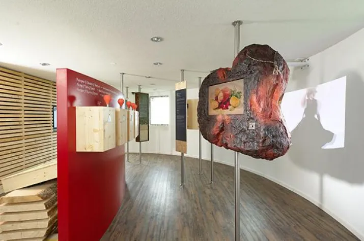 Bild: Publikumsmagnet Schwarzwälder Schinkenmuseum