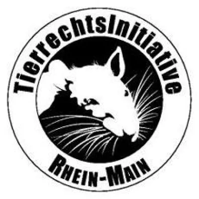 Bild: Schweineschlachtung in der Fußgängerzone