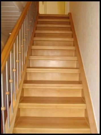 Bild: HAFA hilft VERA helfen